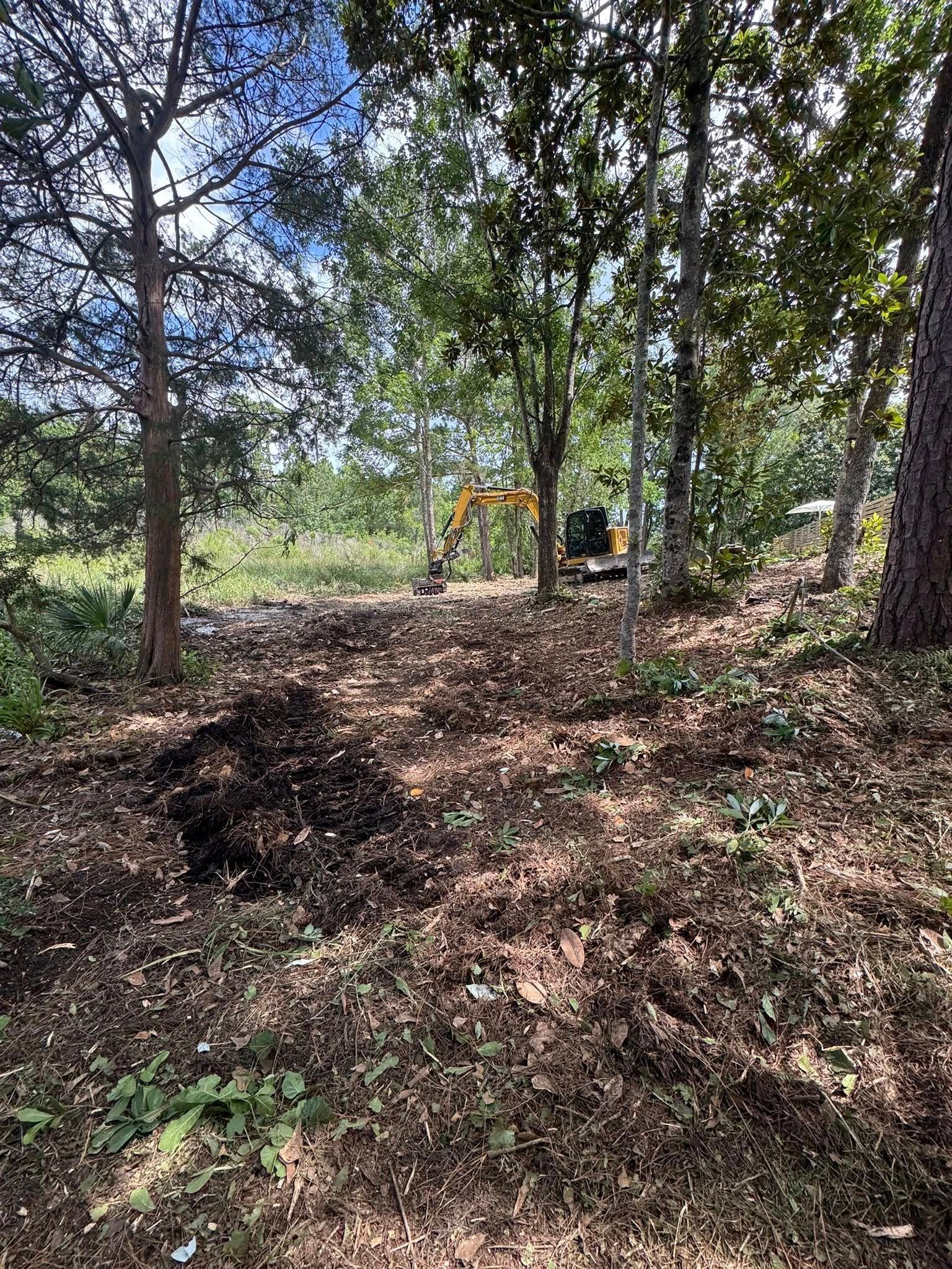 An excavator clearing a wooded area; sunlight filters through the trees.