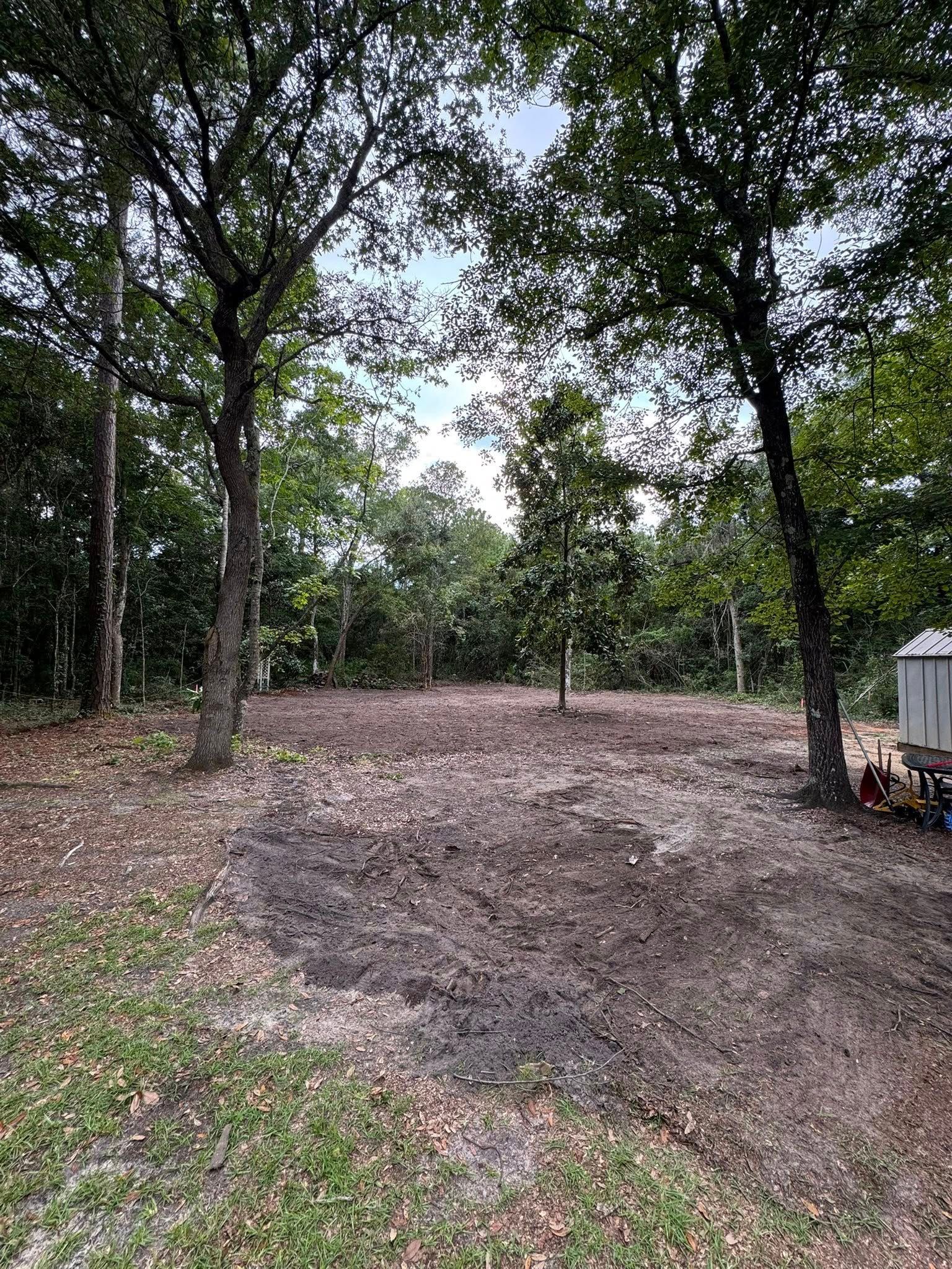 Cleared dirt area surrounded by trees. Blue sky visible.