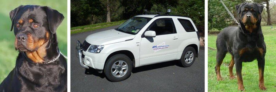 Car used for security patrols across Brisbane