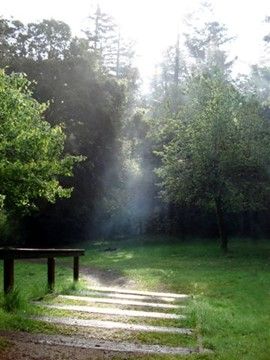 Autumn trees reflected in calm lake water under a blue sky. Autumn trees reflected in calm lake water under a blue sky.