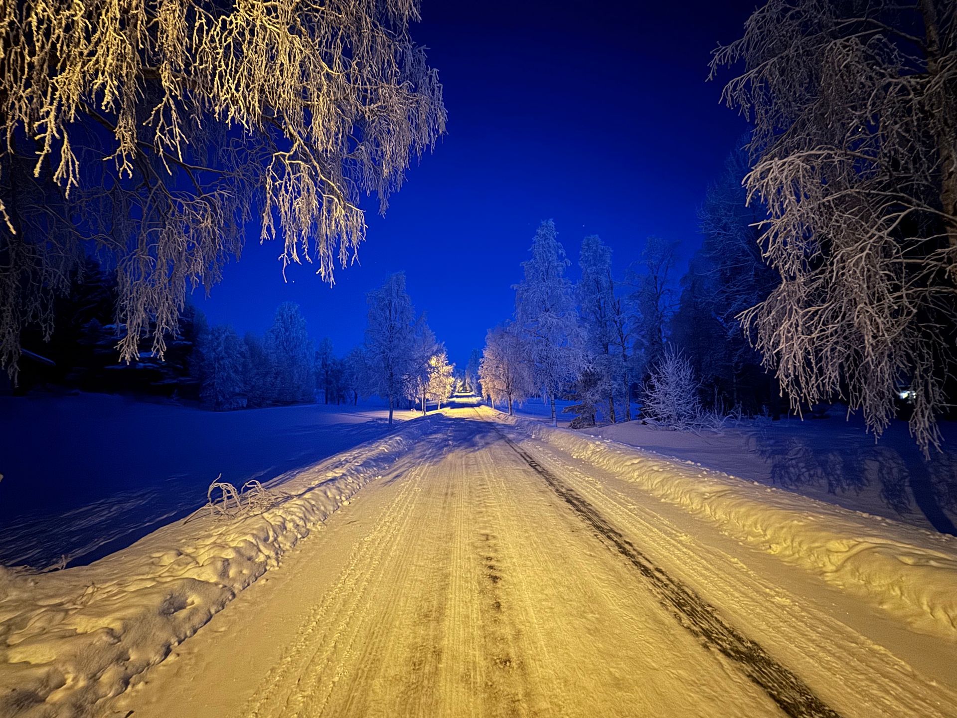 A snowy road with trees on both sides at night.