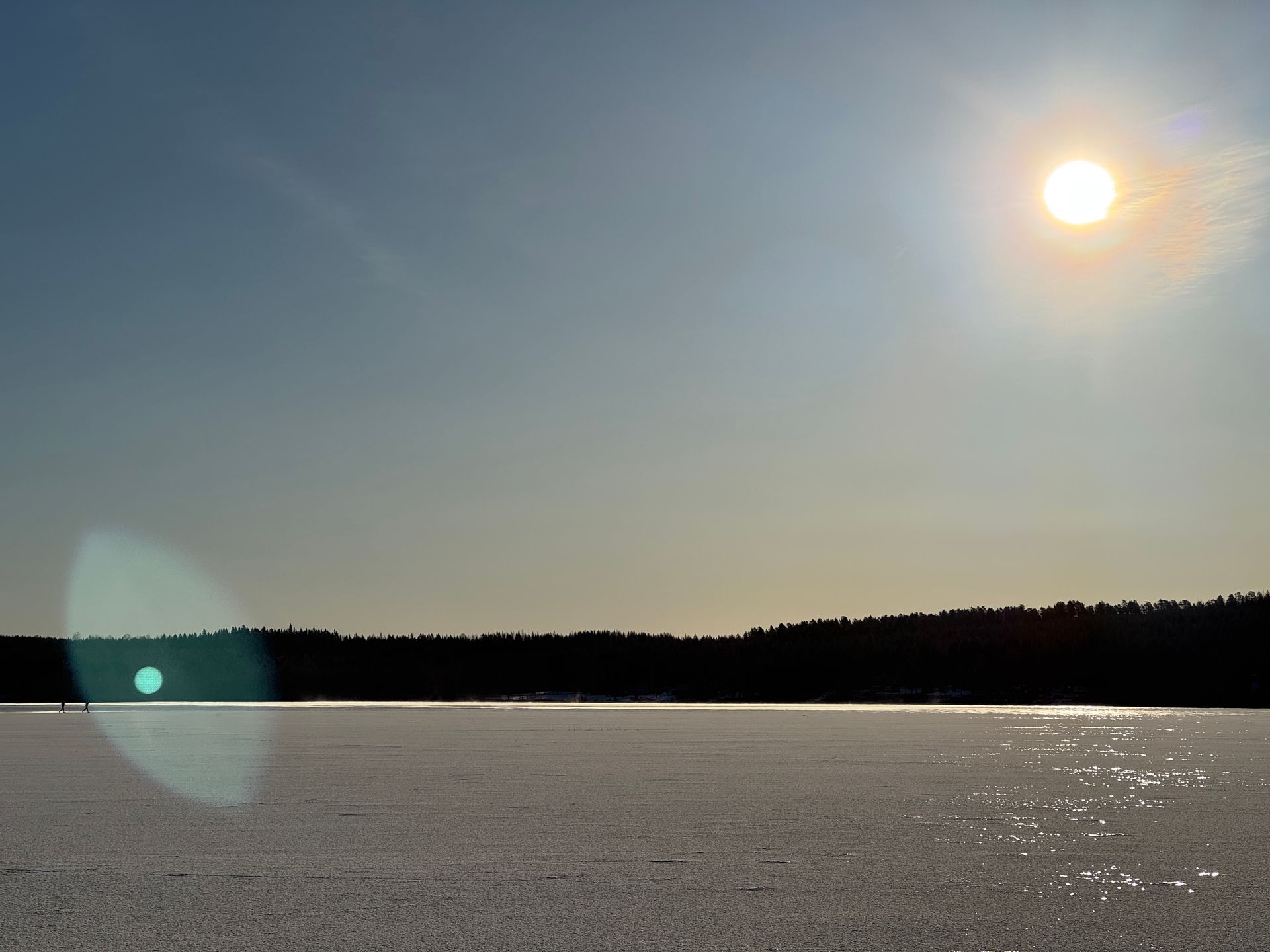 A snowy road with trees on both sides at night.