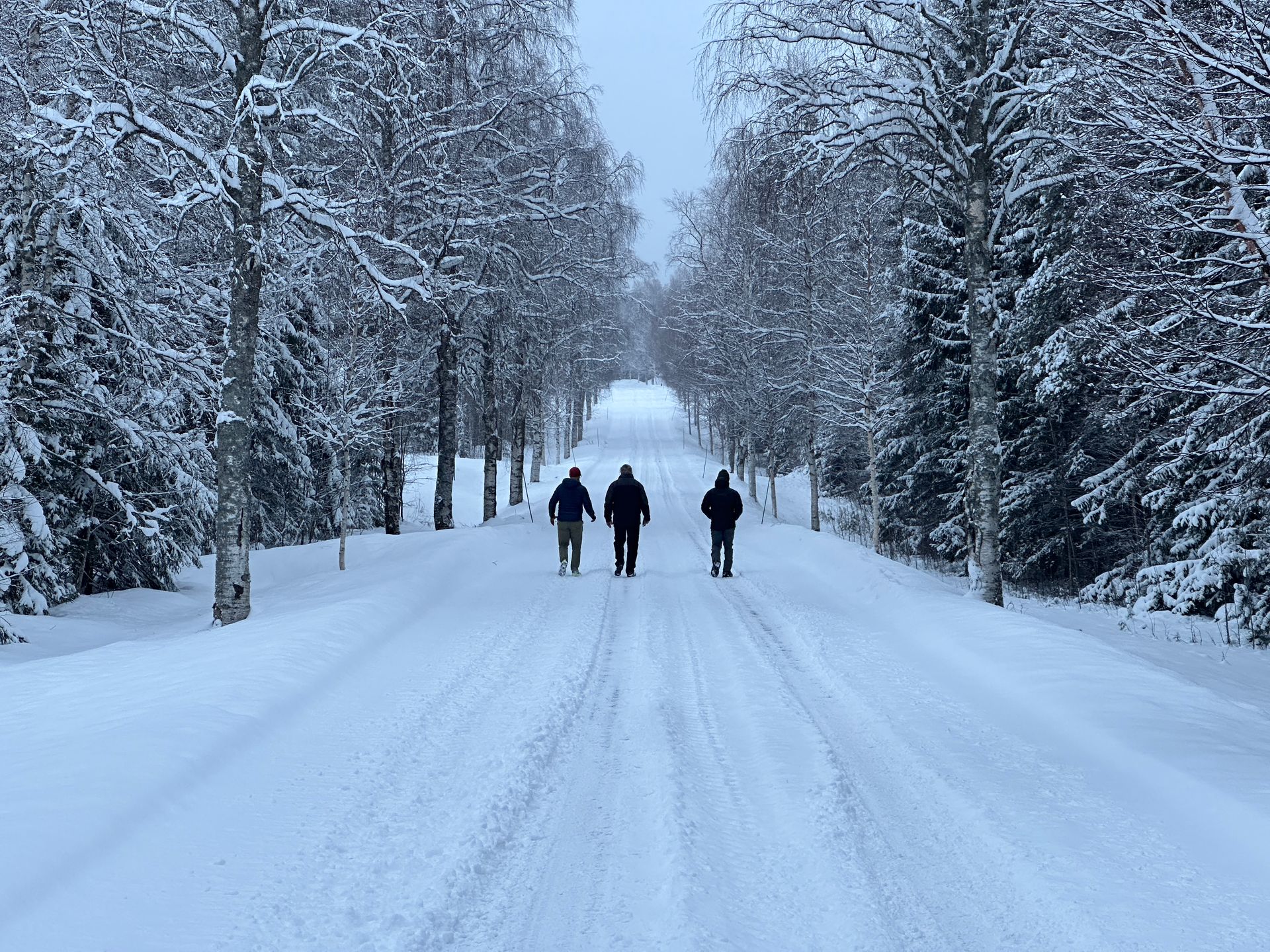 Three people are walking down a snow covered road.