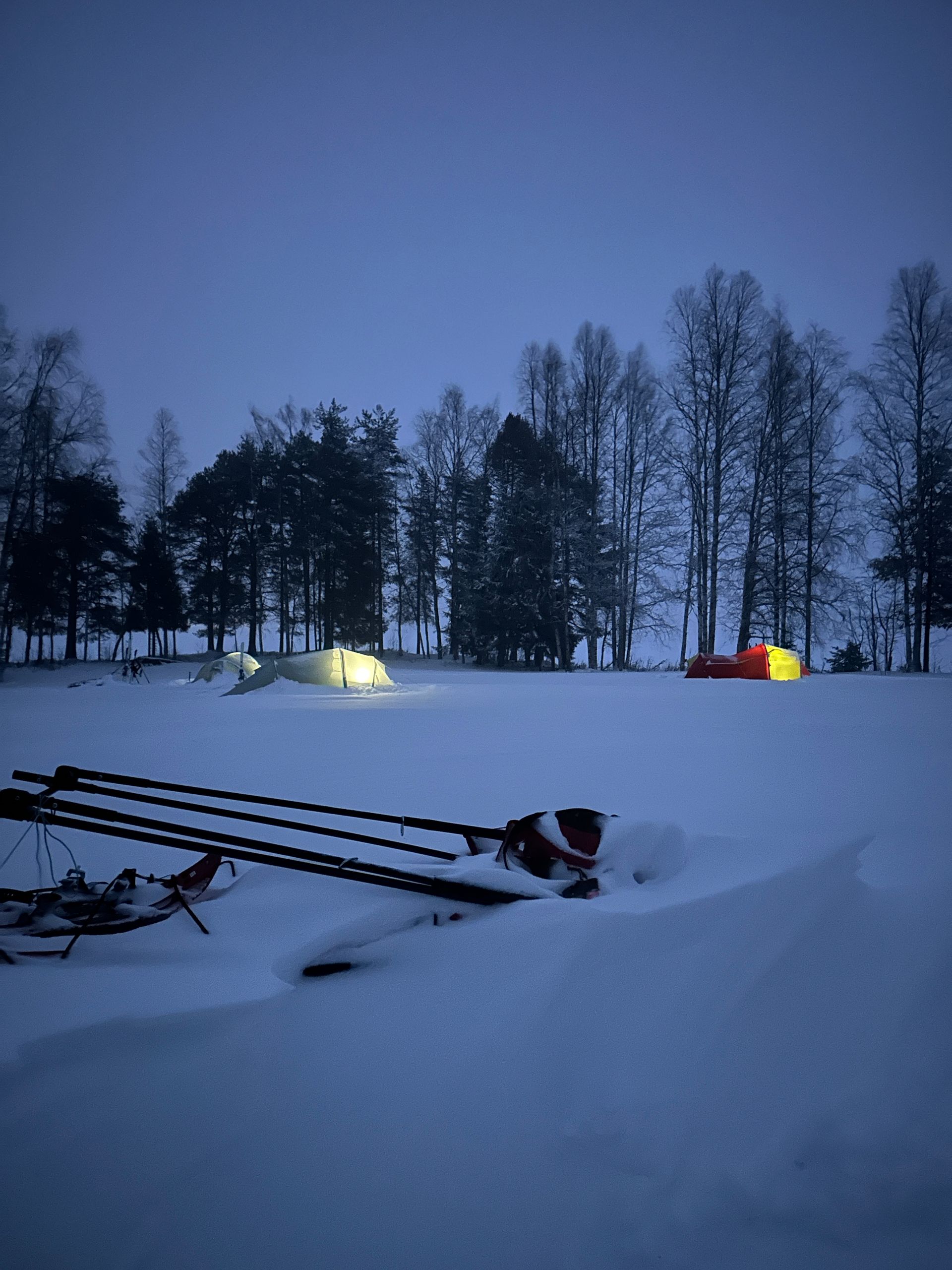 A snowy field with a red tent in the background