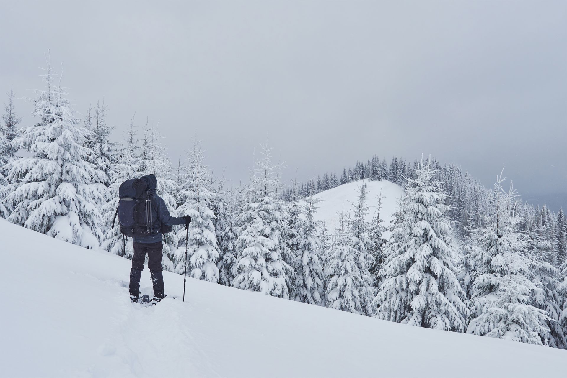 Man in arctic turrain looking out over the woods of snow covered trees