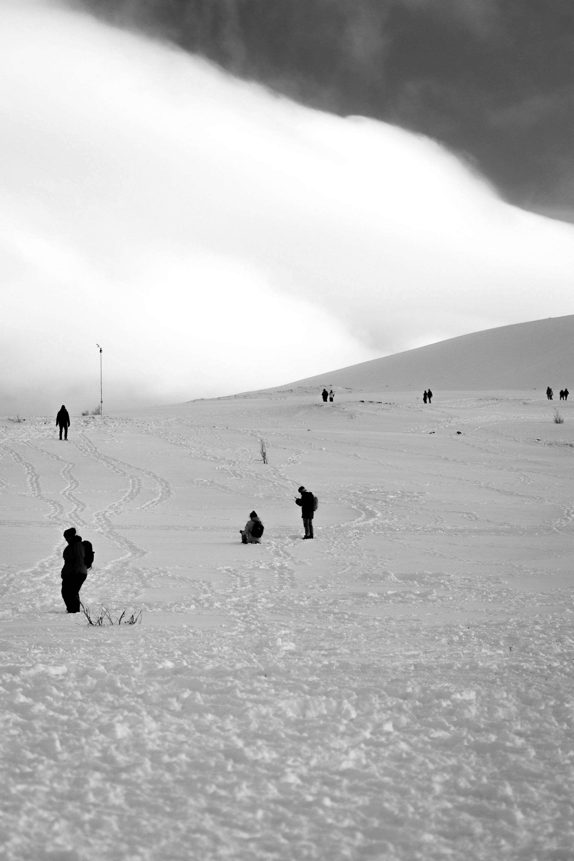 People standing on ski slopes