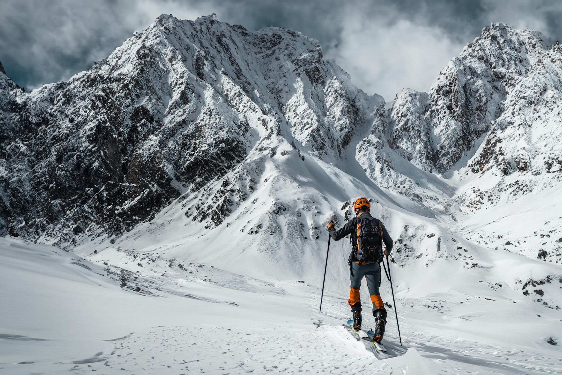 A snowy forest with trees covered in snow