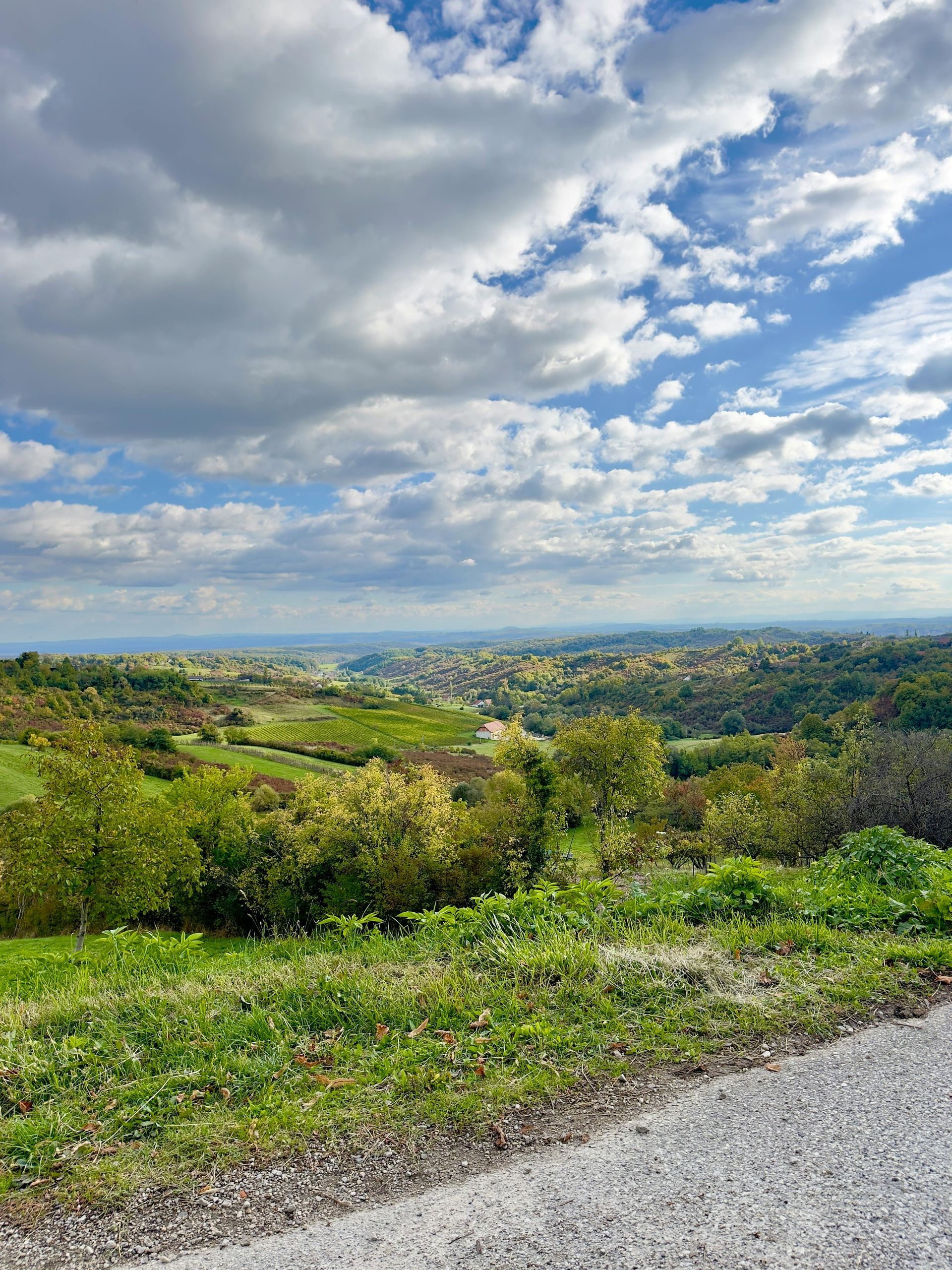 A person is riding a bike on a trail in the woods.
