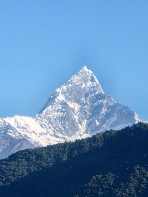 Snow-capped mountain peak against a clear blue sky, rising above a dark green, forested hillside.