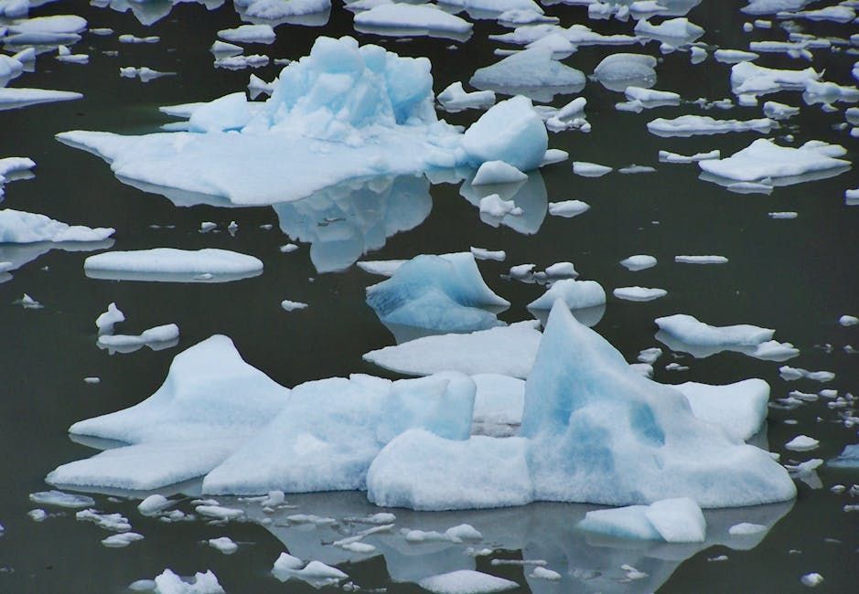 Icebergs floating on dark water, reflecting the blue and white ice in the water.