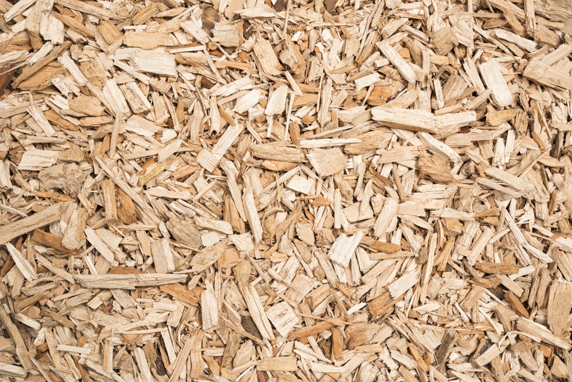 Wood Chip Fuel — Tavares, FL — Clearcut Tree Service, Inc