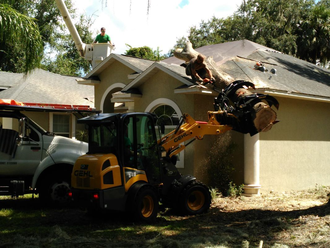 Pulling Trees From House Roof — Tavares, FL — Clearcut Tree Service, Inc
