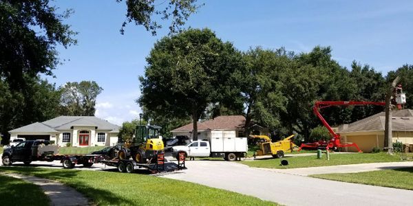 Removal of Big Trees — Tavares, FL — Clearcut Tree Service, Inc