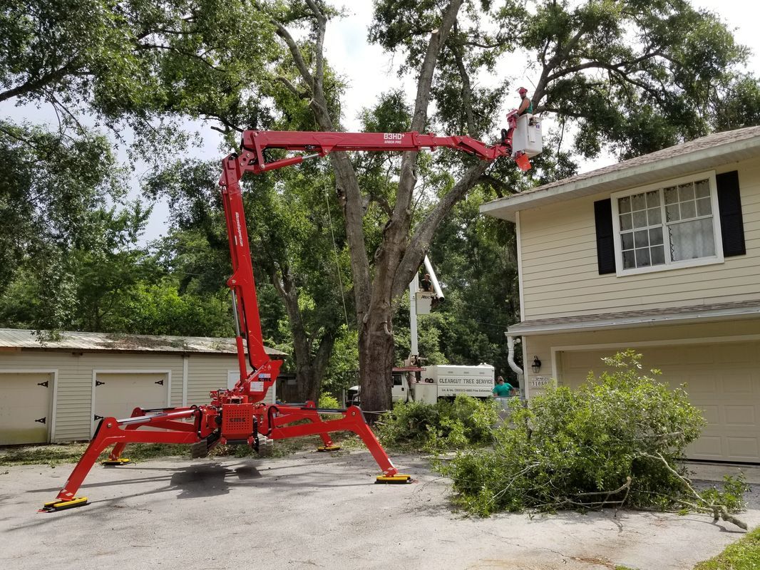 Cutting Tree Using Heavy Equipment — Tavares, FL — Clearcut Tree Service, Inc