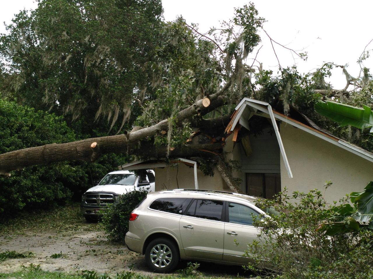 Tree Fell on a House — Tavares, FL — Clearcut Tree Service, Inc