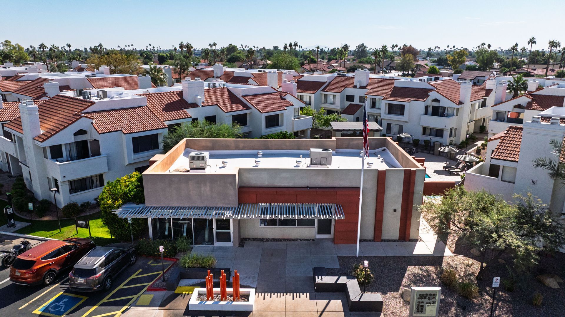 Dog park with artificial turf, obstacles, a blue ball, and a mural of dogs on the wall. Talavera Apartments offers vibrant downtown Tempe apartments—learn more.