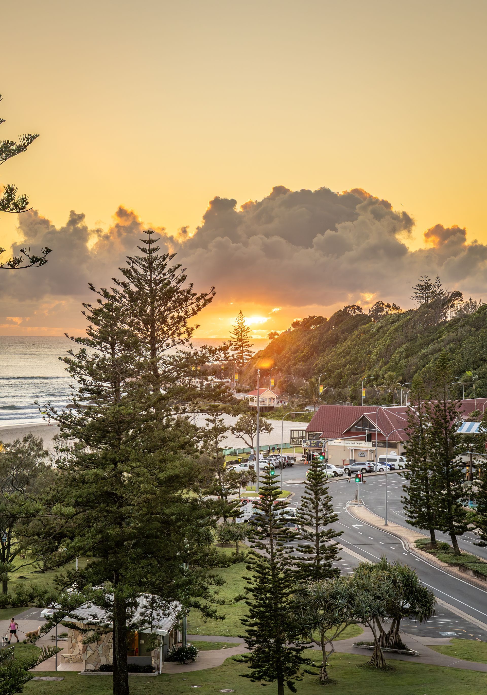 Sunrise over a coastal town, with pine trees, buildings, and ocean visible. Golden sky.