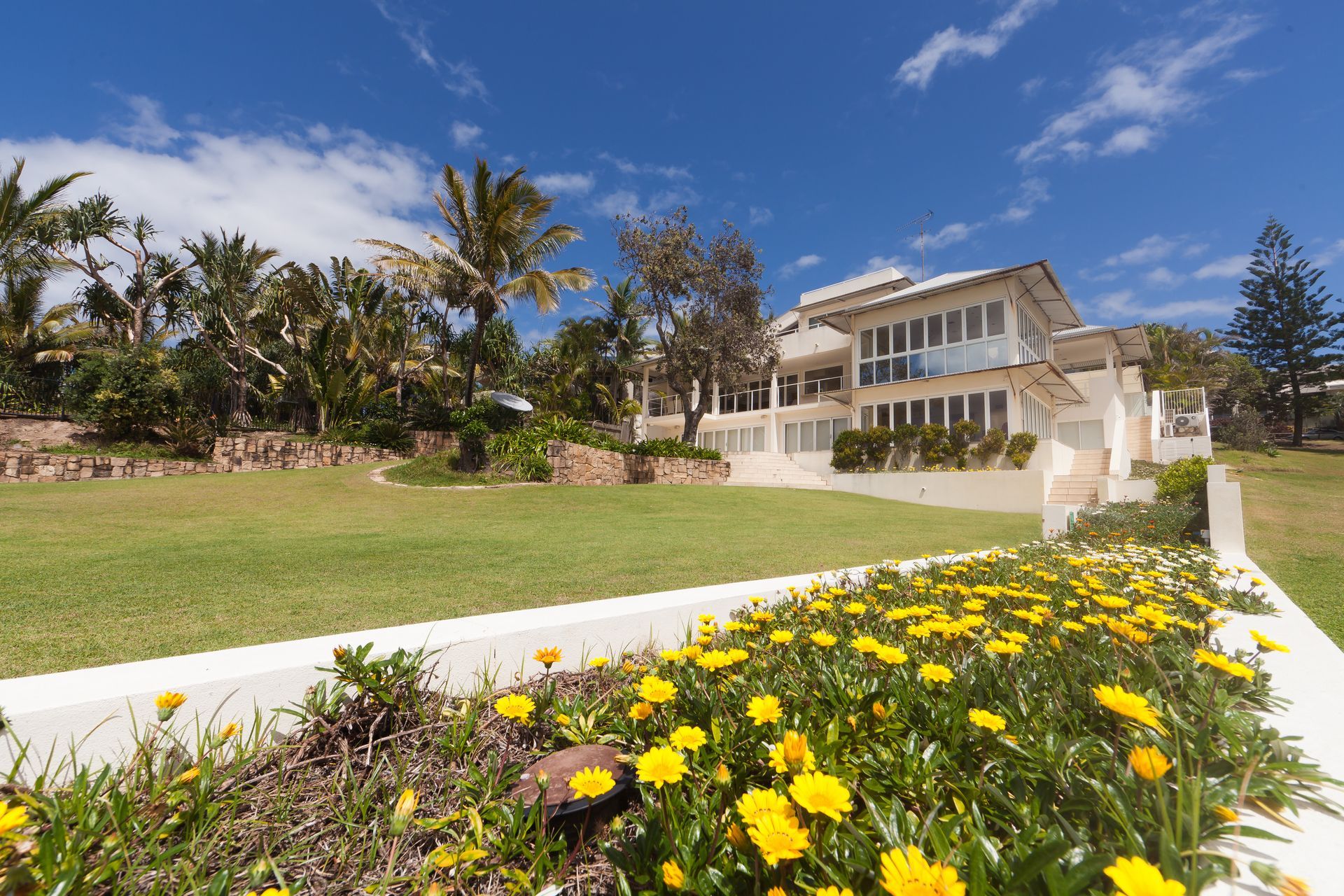 Large white house with lawn, garden of yellow flowers, and palm trees under a blue sky.