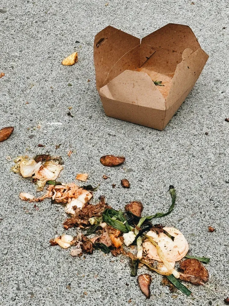 Takeout box on the ground, food spilled on pavement.