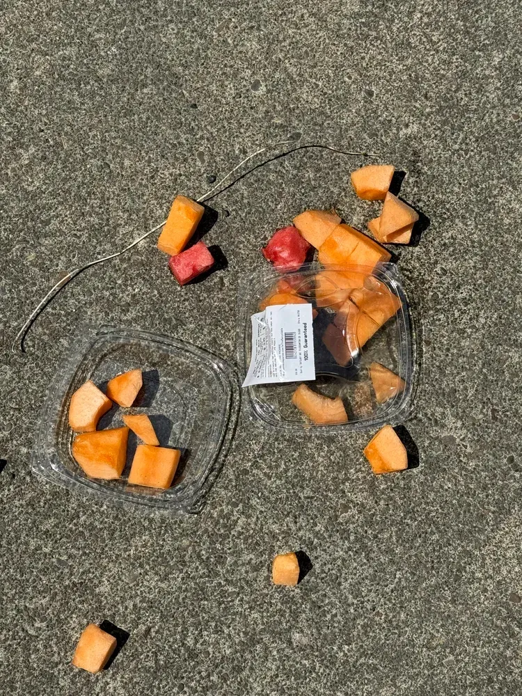 Scattered cantaloupe and watermelon pieces on gray concrete, alongside two clear plastic containers.