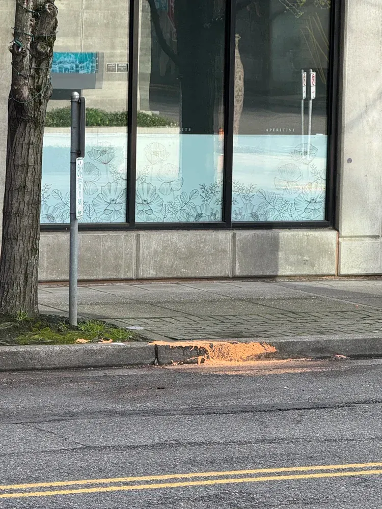 A sidewalk and road with a building and tree. Orange debris near the curb.