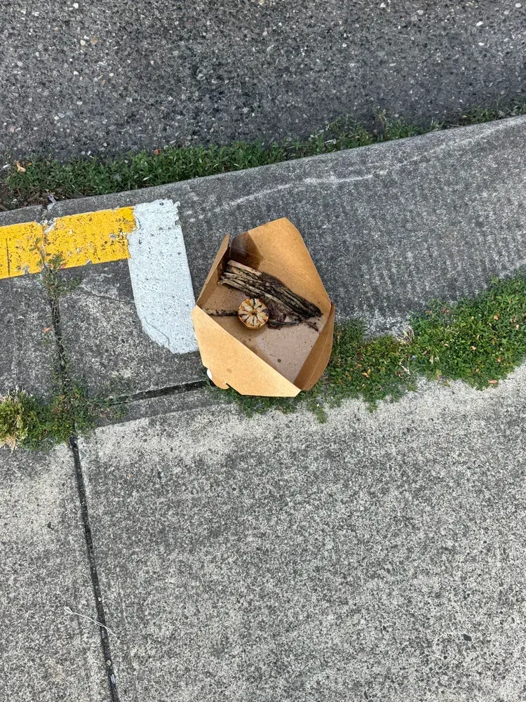 Cardboard box with wood pieces and an object sits on a curb next to a yellow painted stripe.