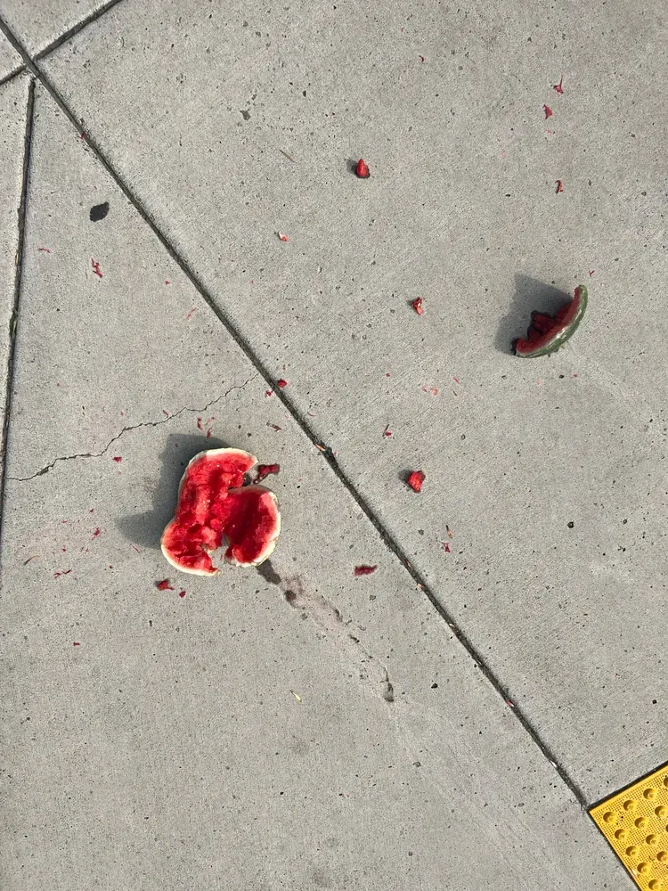 Smashed watermelon on a concrete sidewalk, with red juice and fragments scattered around.