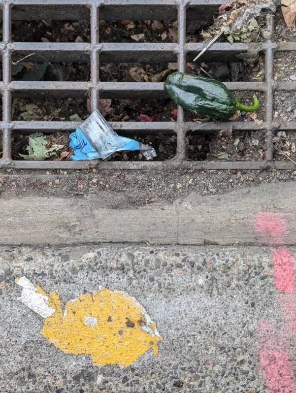 Green pepper and trash in a sewer grate on a concrete sidewalk. Yellow and pink paint on the concrete.