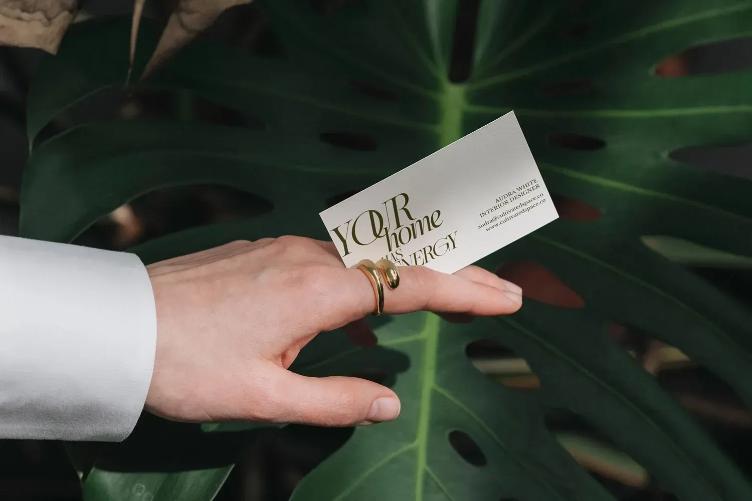 Hand holding a business card in front of a large green leaf; ring on finger.