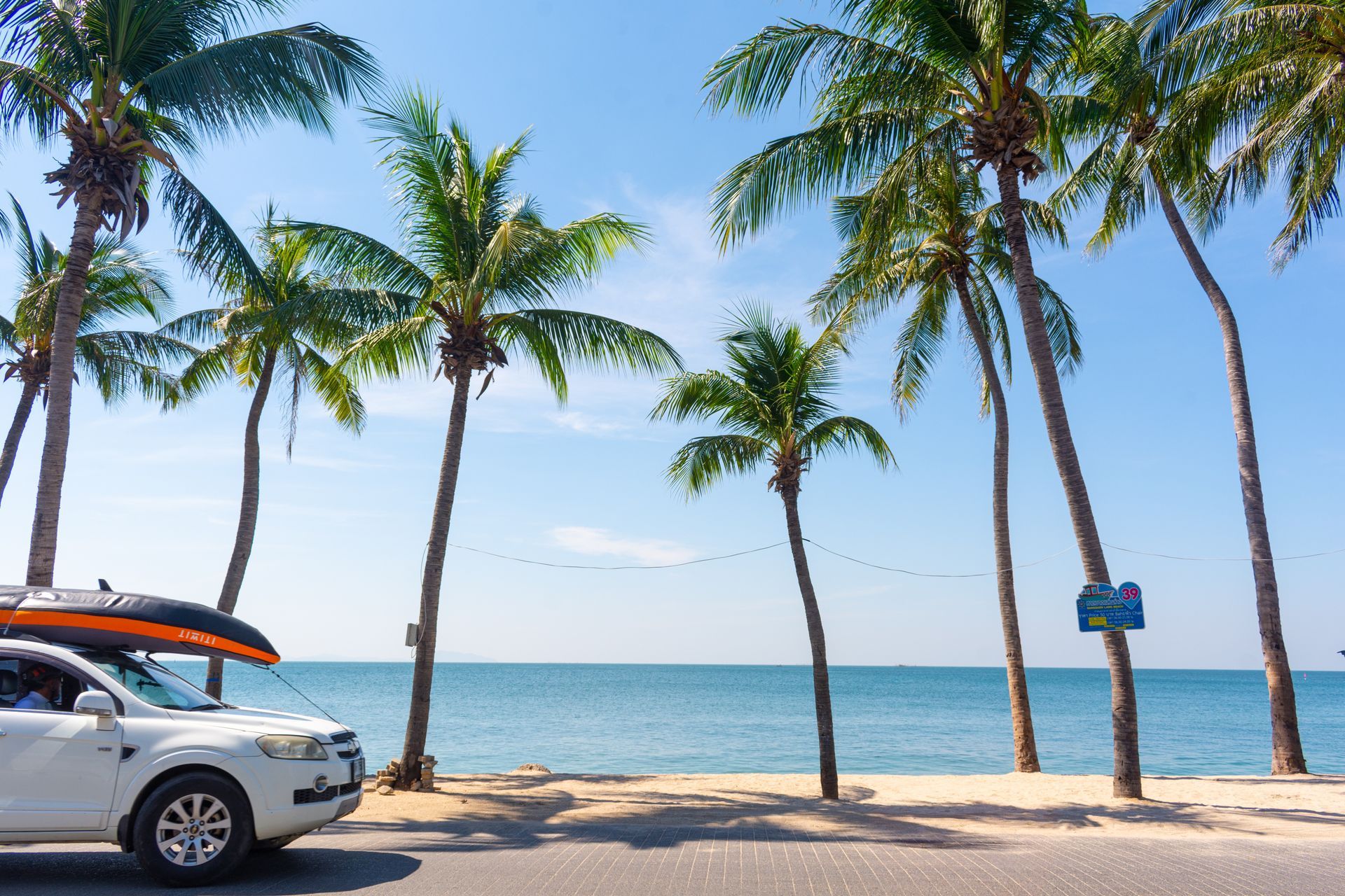 Can Parking Under Palm Trees Ruin Your Car’s Paint? | Armstrong Auto Care