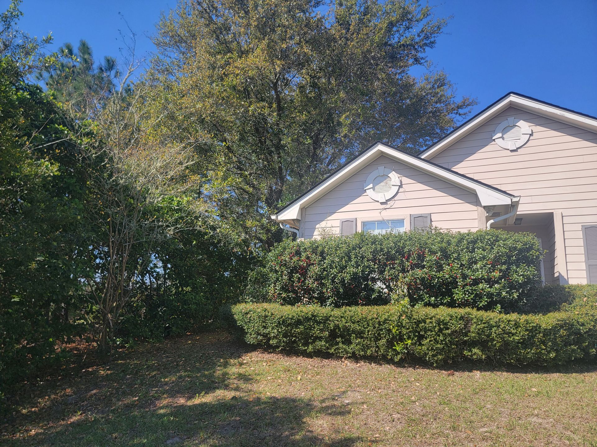 A light-colored house with a gabled roof set behind a large, manicured hedge and mature trees under a clear blue sky.