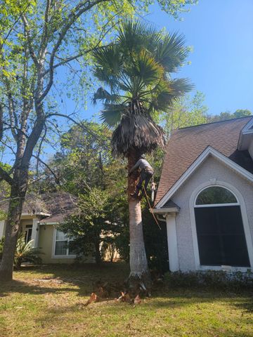 Tall palm tree beside a white house with a gabled roof and arched window under a blue sky.