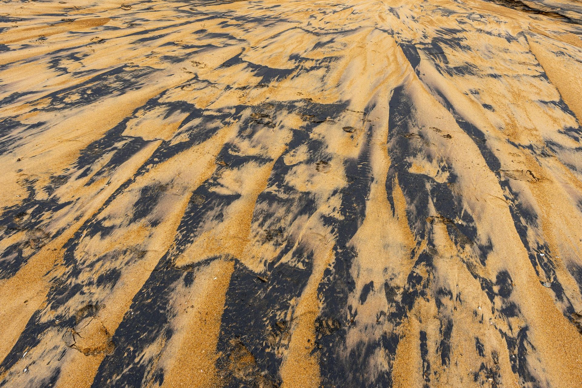 A landscape view of yellow sand patterns distributed across a black, textured surface.
