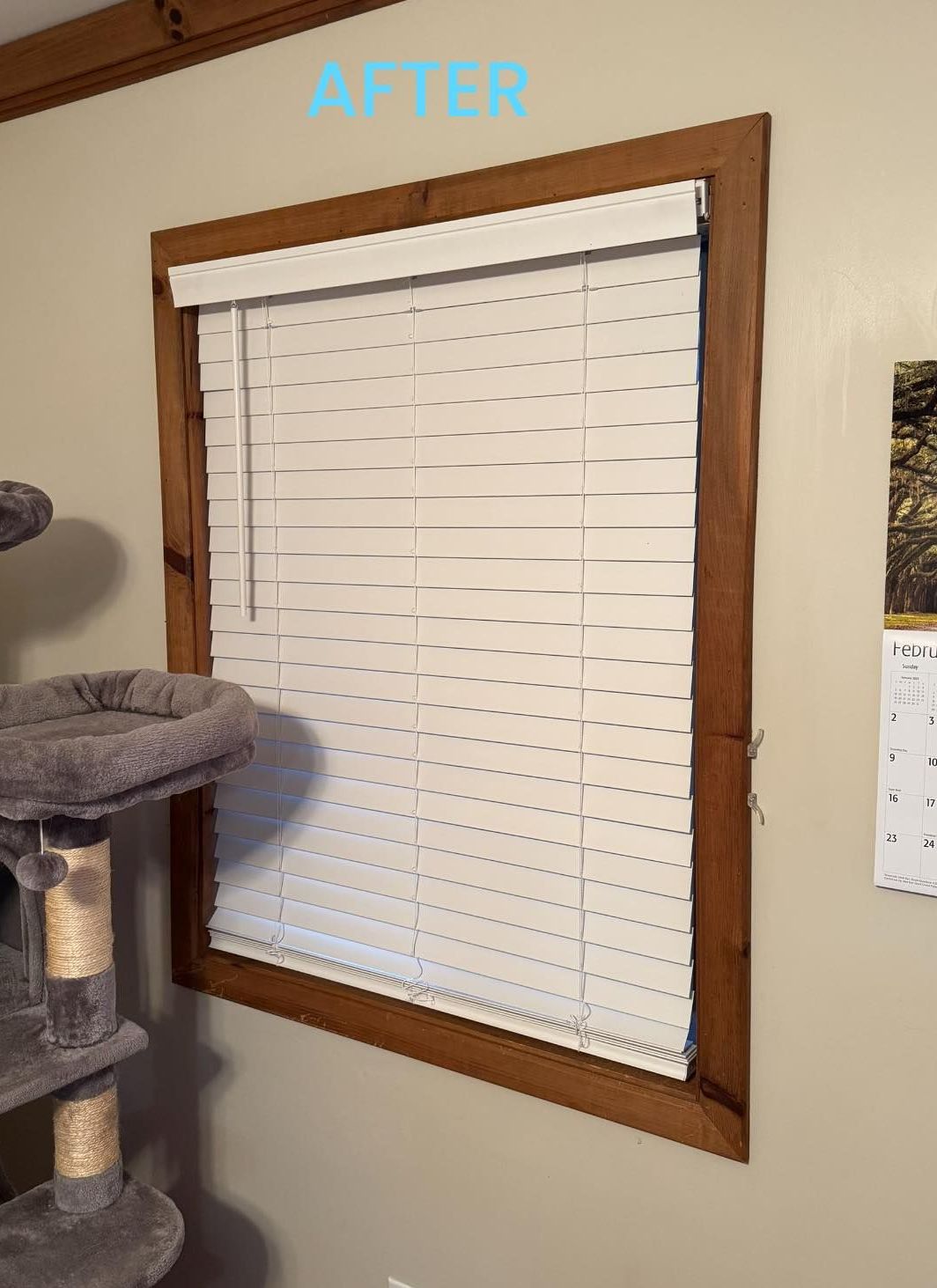 A picture of a window with blinds and a cat tree.