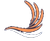 icona logo