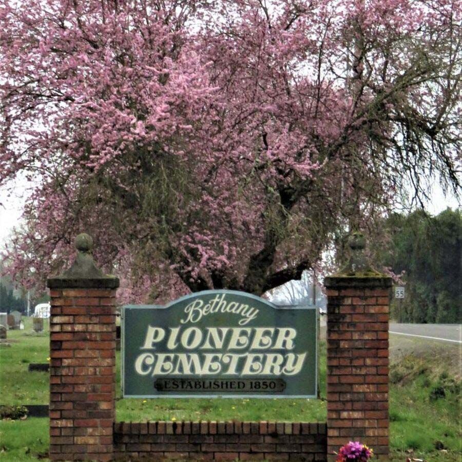 A sign for bethany pioneer cemetery with a tree in the background
