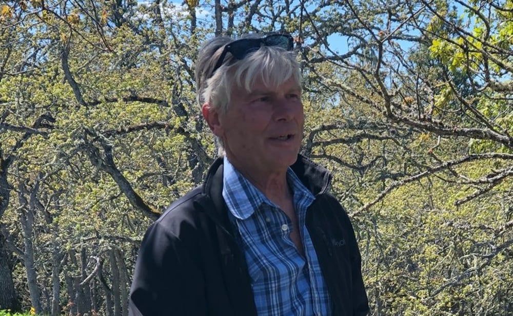 A man in a plaid shirt and black jacket is standing in front of trees.