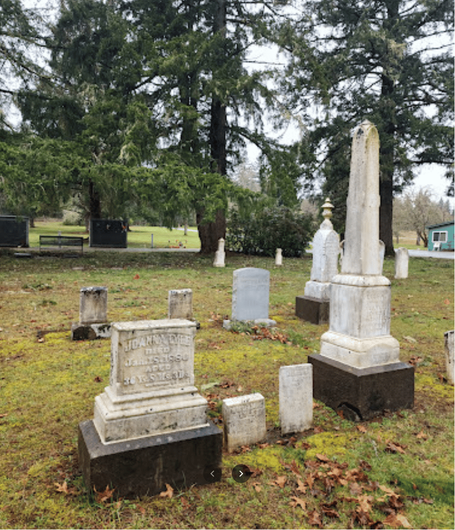 A cemetery with a lot of graves and trees in the background.