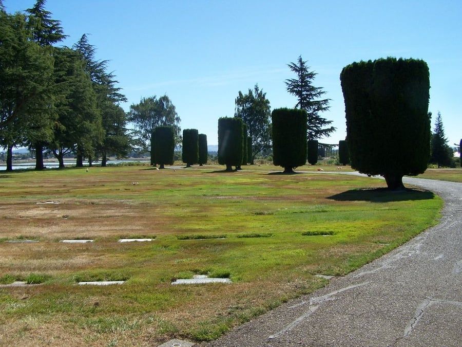 A cemetery with a path going through it
