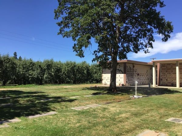 A cemetery with a tree in the middle of it
