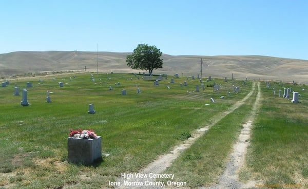 A dirt road going through a cemetery with a tree in the middle