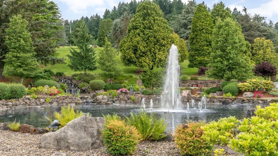 A fountain in the middle of a pond in a park surrounded by trees.