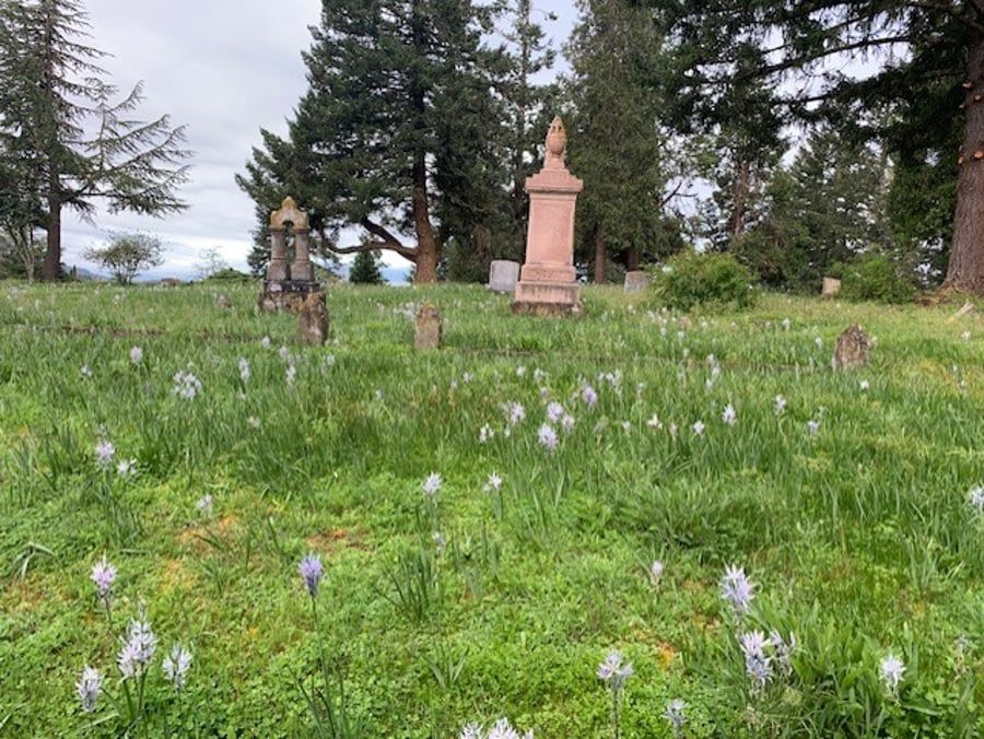 A cemetery filled with lots of flowers and trees.