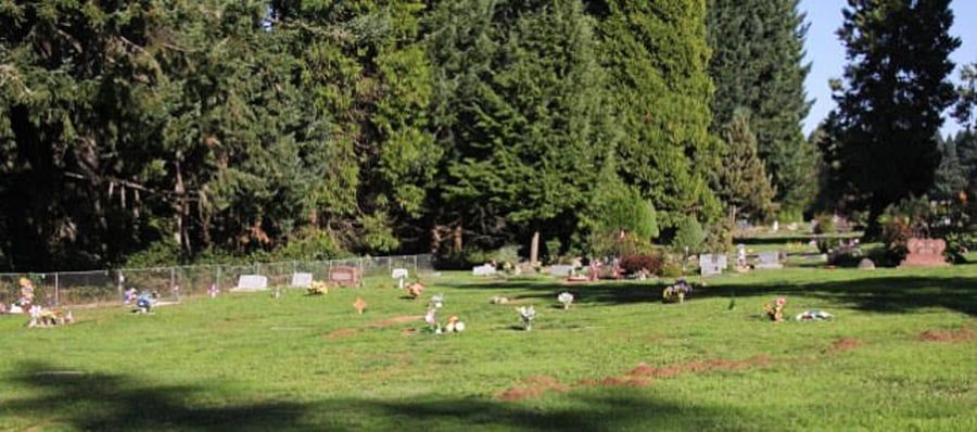 A cemetery with lots of graves and trees in the background.