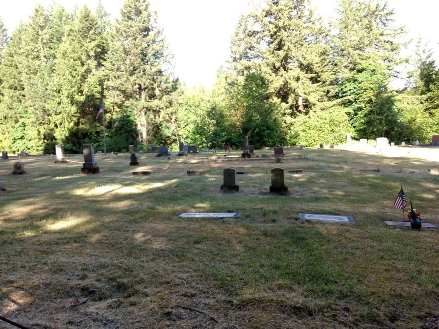 A cemetery with a lot of graves and trees in the background
