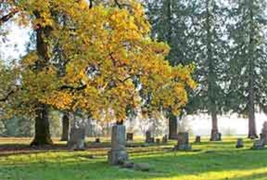A cemetery with trees and graves and a tree with yellow leaves.