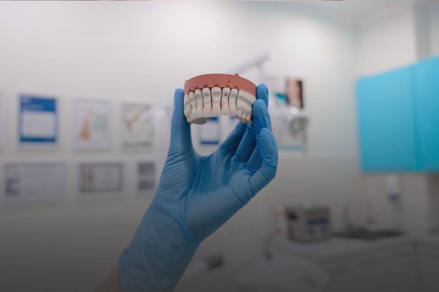 A person wearing blue gloves is holding a model of teeth.