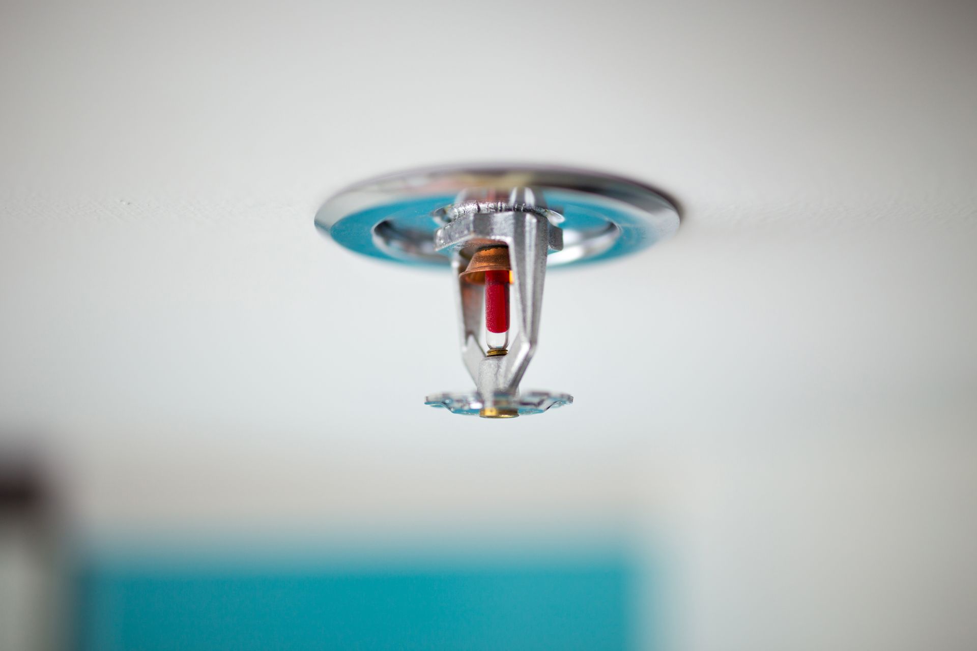 Sprinkler and smoke detector.