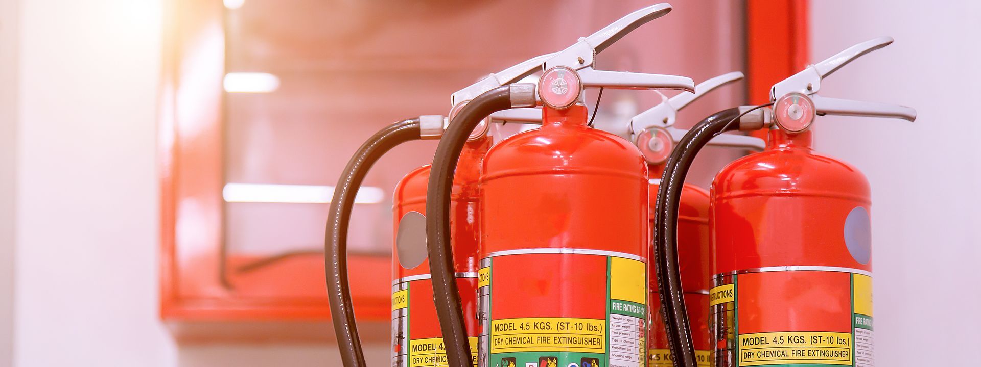 Row of red fire extinguishers mounted indoors, with hoses and pressure gauges visible.