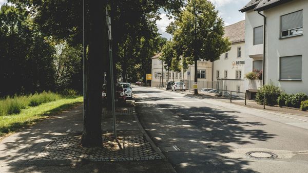 A row of houses along a street with trees on both sides